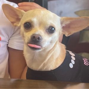 Meet your Posher, Aubrey